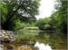 A tranquil setting by the River Lynher